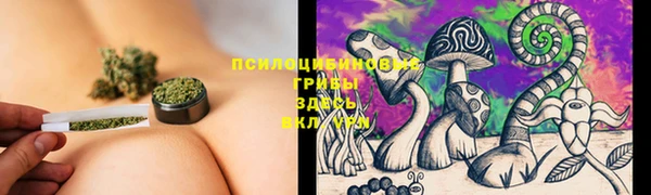 ГАЛЛЮЦИНОГЕННЫЕ ГРИБЫ Волосово