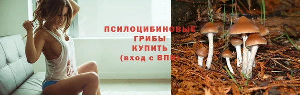 ГАЛЛЮЦИНОГЕННЫЕ ГРИБЫ Волоколамск