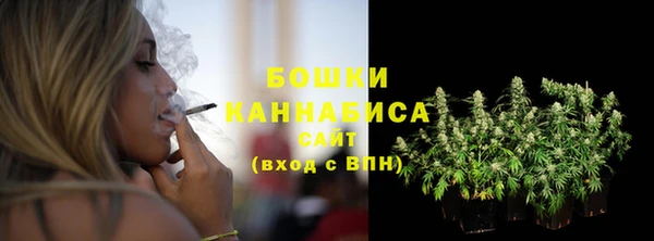 ГАЛЛЮЦИНОГЕННЫЕ ГРИБЫ Волосово